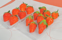 画像をギャラリービューアに読み込む, 大粒いちご🍓2パック入り