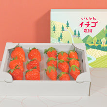 画像をギャラリービューアに読み込む, 大粒いちご🍓2パック入り